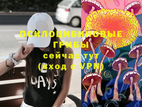 ПСИЛОЦИБИНОВЫЕ ГРИБЫ Абдулино