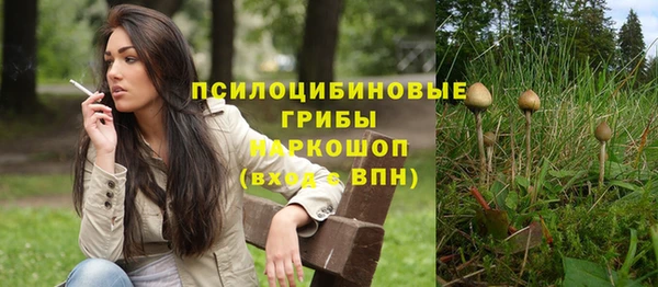 ПСИЛОЦИБИНОВЫЕ ГРИБЫ Абдулино