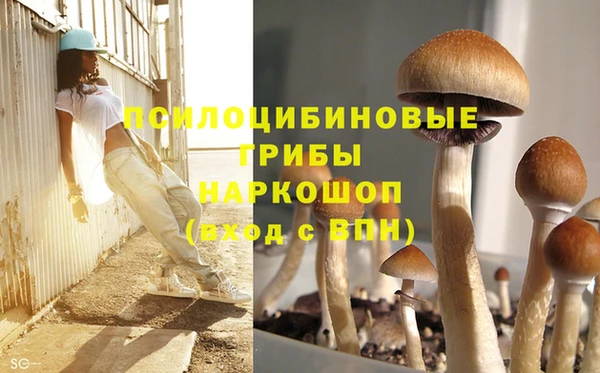 spice Абаза