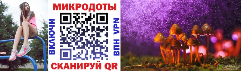 Галлюциногенные грибы Psilocybe  блэк спрут ссылки  Каменск-Шахтинский 
